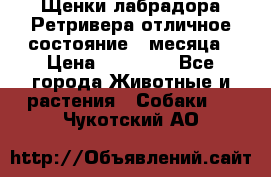 Щенки лабрадора Ретривера отличное состояние 2 месяца › Цена ­ 30 000 - Все города Животные и растения » Собаки   . Чукотский АО